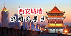 操逼wwwcom中国陕西-西安城墙旅游风景区